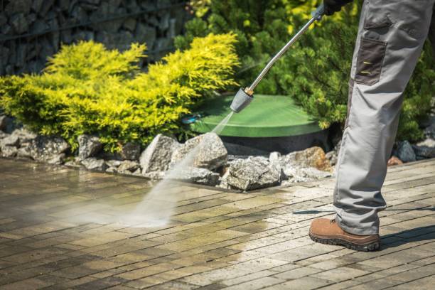 Best Fence Cleaning  in Farmersville, TX