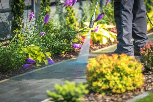 Best Restaurant Pressure Washing  in Farmersville, TX