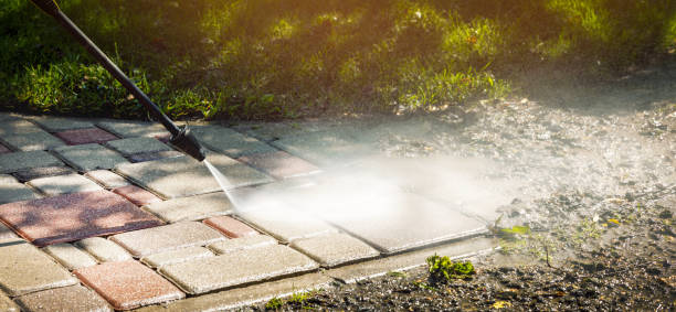 Best Dumpster Area Cleaning  in Farmersville, TX