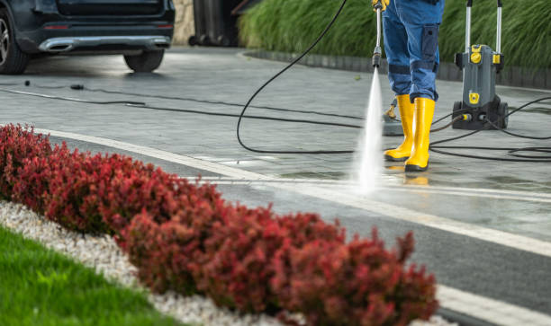 Best Gutter Cleaning  in Farmersville, TX