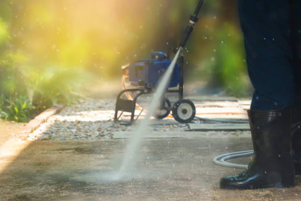 Best Roof Washing  in Farmersville, TX